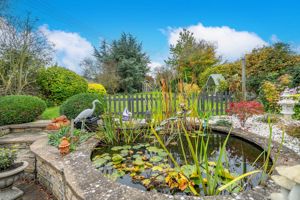 Ornamental pond- click for photo gallery